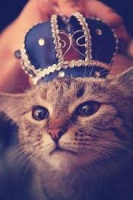 Амлет на природе, в машине, на улице, в необычных местах  – Фото 1