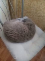 Мужчина ищет девушку для Секса – Фото 1